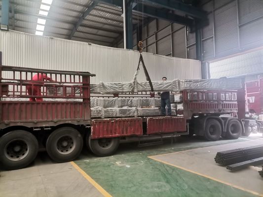 Unter der Oberfläche liegendes eingefügtes Sauger-Rod Pump Double-Ventil für Erdölgewinnung