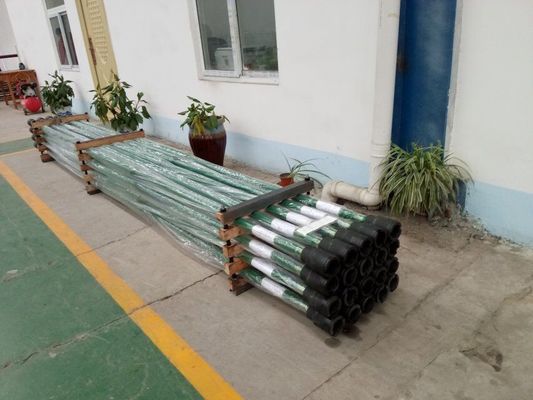 Halten Sie und unterer Sauger Rod Pump Spray Metal Plunger nieder