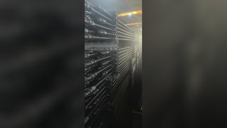 Saugruten der Güteklasse D